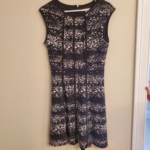 Sandra Darren Dress